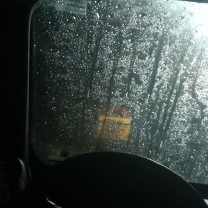 Meet your Posher, Dante